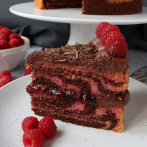 Chocolate & Raspberry Zebra Cake