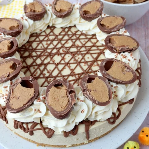 Reese's Peanut Butter Egg Cheesecake