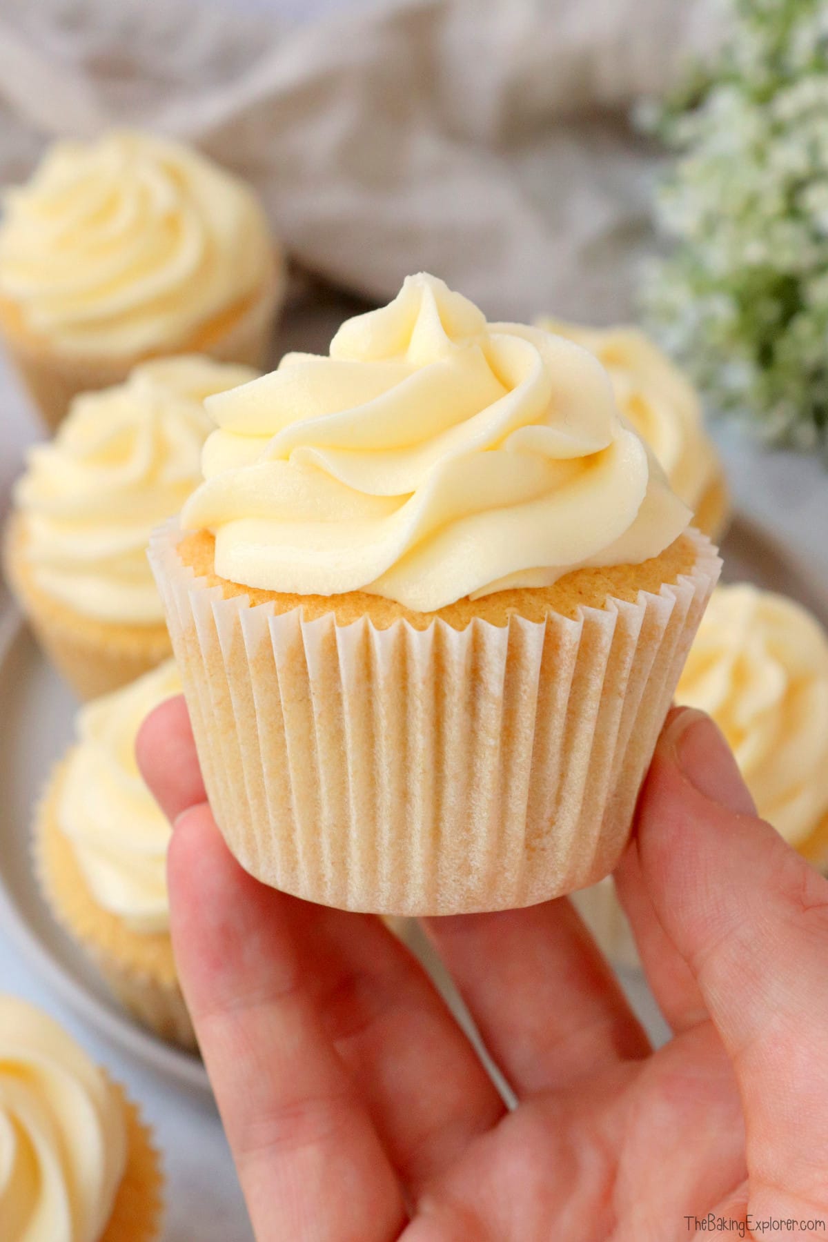 Vanilla Cupcakes