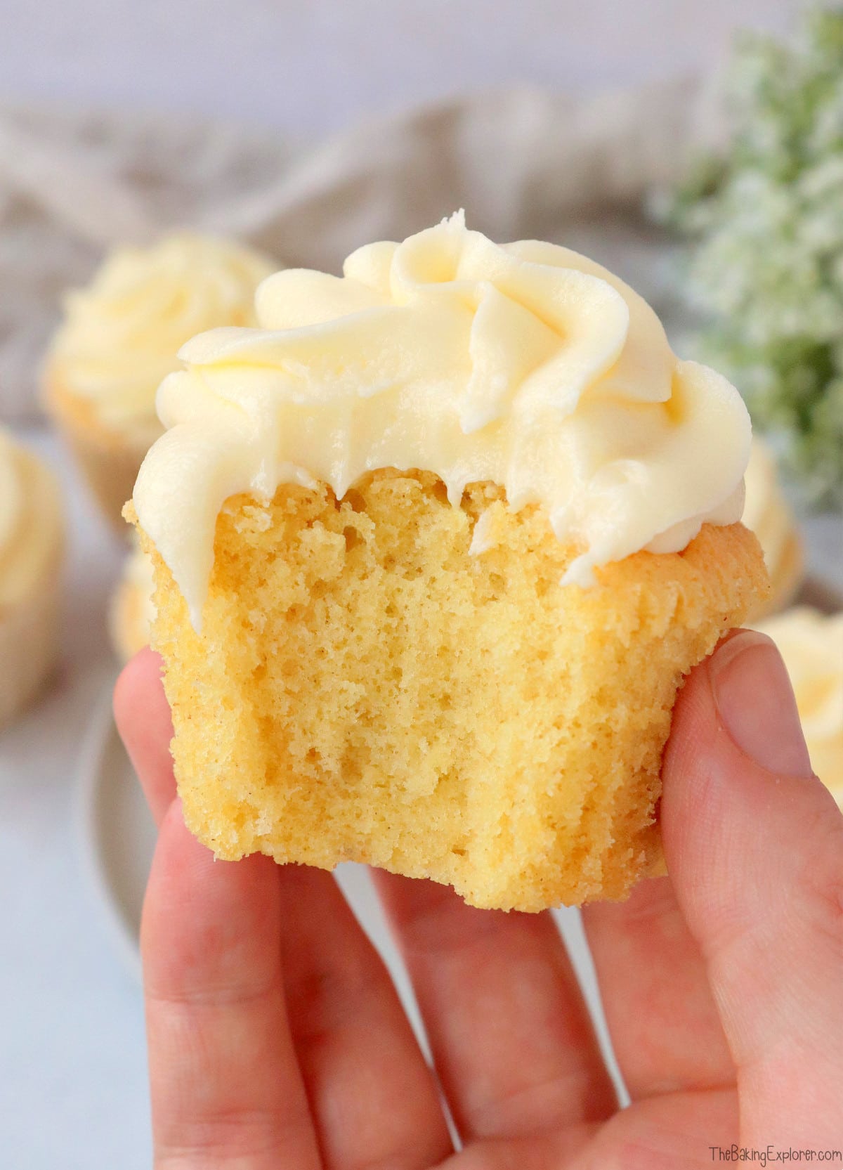 Vanilla Cupcakes