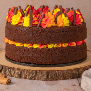 Spiced Chocolate Bonfire Cake