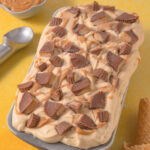 Reese's Peanut Butter Ice Cream