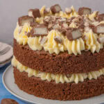 Bounty Chocolate & Coconut Cake