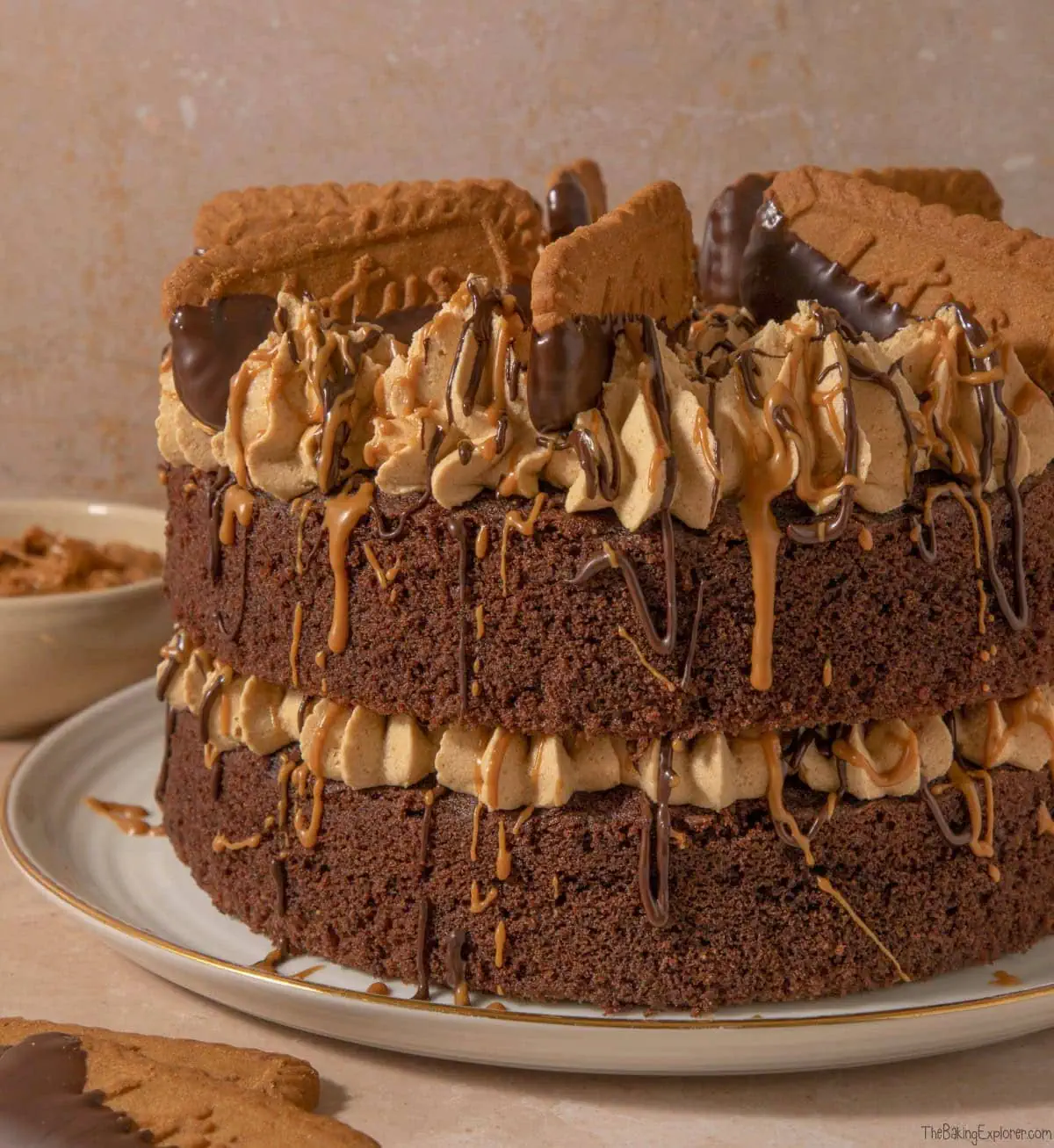 Chocolate Biscoff Cake