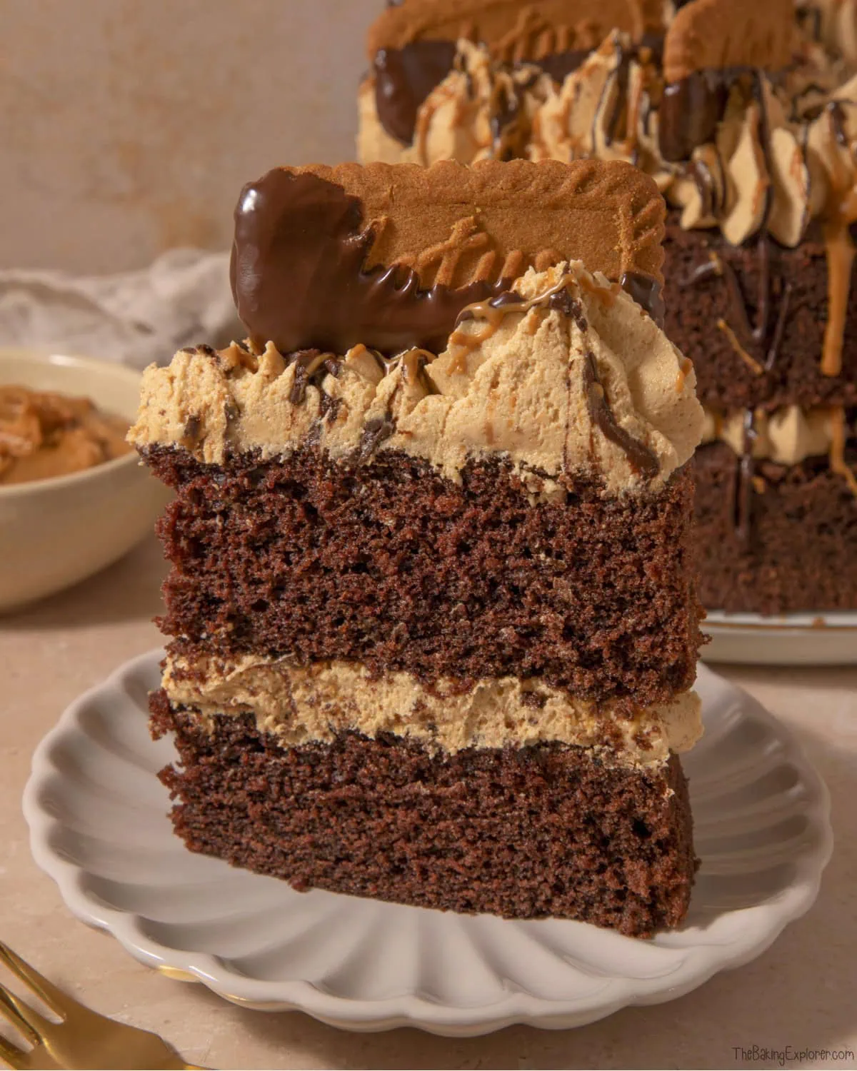 Chocolate Biscoff Cake