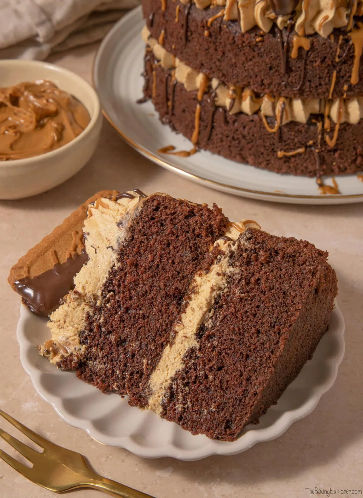 Chocolate Biscoff Cake