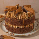 Chocolate Biscoff Cake