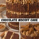 Chocolate Biscoff Cake